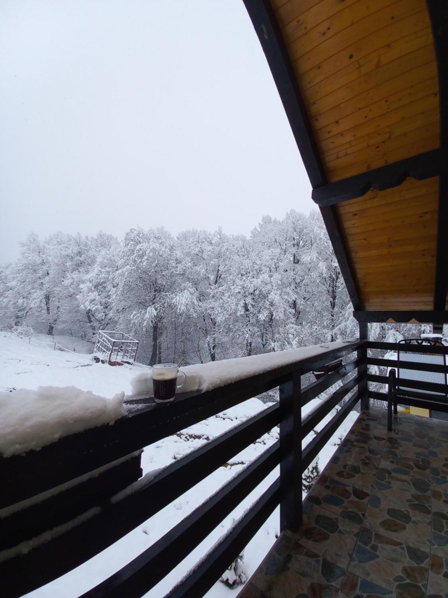 Pensiunea Natura Sadu Sibiu Exterior photo